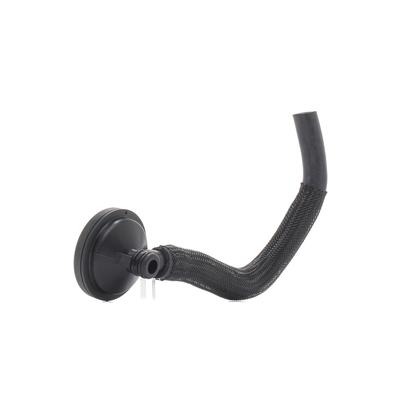 RIDEX Ventil, Kurbelgehäuseentlüftung RENAULT,DACIA 3886V0160 8200147551,8200068489