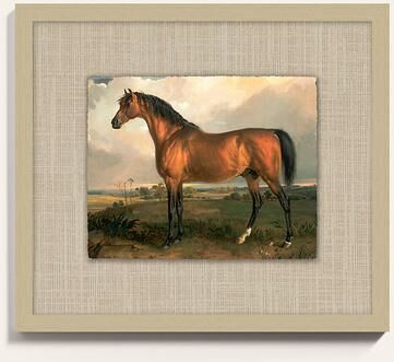 "Carson Kressley The Wild Crown Art - 17"" x 20"" - Ballard Designs"