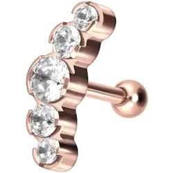 Titan Ohrpiercing 5 EINGEFASSTE KRISTALLE