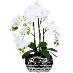 Kunstpflanze Orchideen Grün ca. 55cm