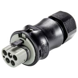 Wieland Electric 96.052.4054.3 Steckverbinder
