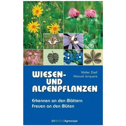 Wiesen- und Alpenpflanzen, Sachbücher von Walter Dietl