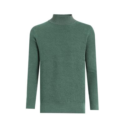 Rollkragenpullover FELIX HARDY "Rollkragenpullover", Herren, Gr. L, grün, 100% Baumwolle, hoch geschlossener Ausschnitt, Pullover Rollkragenpullover