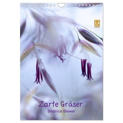 Zarte Gräser (Wandkalender 2027 DIN A4 hoch), CALVENDO Monatskalender