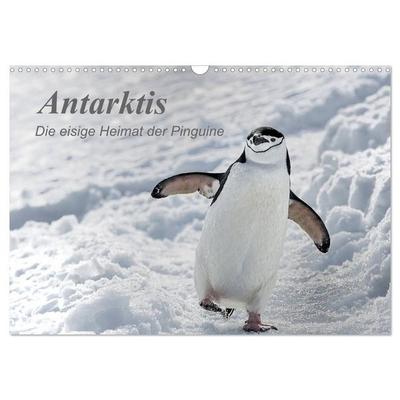 Antarktis, die eisige Heimat der Pinguine (Wandkalender 2027 DIN A3 quer), CALVENDO Monatskalender