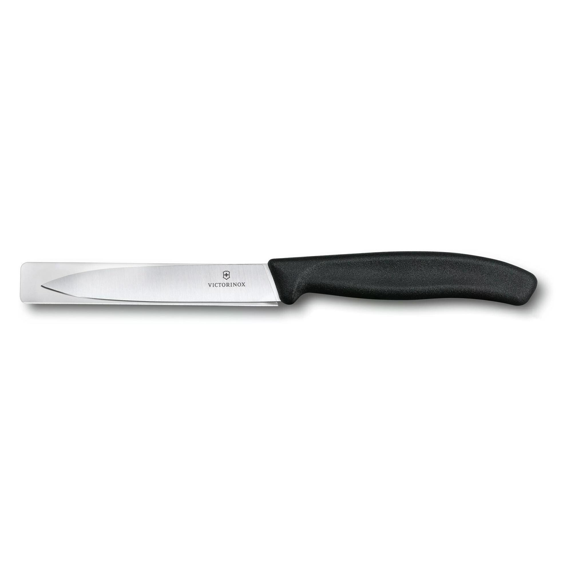 Victorinox Swiss Classic (10 cm) (6.7703)