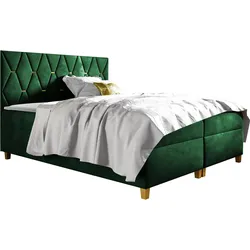 BOXBETT Inez - H3