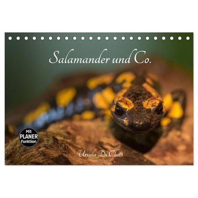 Salamander und Co. (Tischkalender 2027 DIN A5 quer), CALVENDO Monatskalender