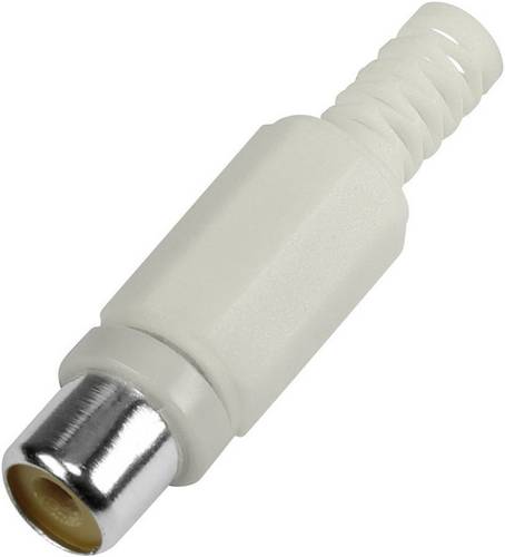 BKL Electronic 1108014 Cinch-Steckverbinder Buchse, gerade Polzahl: 2 Weiß