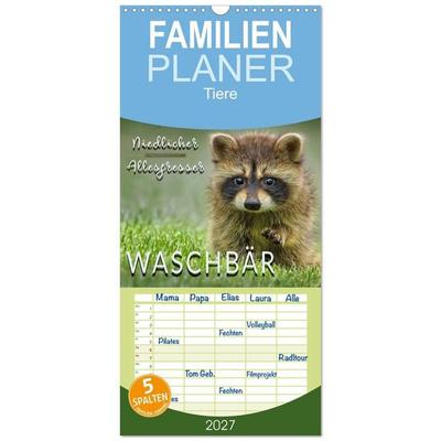 Familienplaner 2027 - Waschbär - Niedlicher Allesfresser mit 5 Spalten (Wandkalender, 21 x 45 cm) CALVENDO