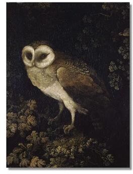 Inspire Essentials Vintage Owl Wall Art Dark Academia Canvas Cottagecore Nature Decor 10 60x90 Cm No Frame