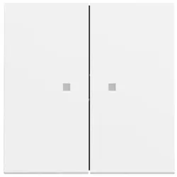 Gira Wippe 2fach mit Kontrollfenster System 70 Reinweiß seidenmatt (lackiert)