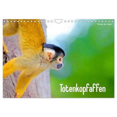 Totenkopfaffen (Wandkalender 2026 DIN A4 quer), CALVENDO Monatskalender