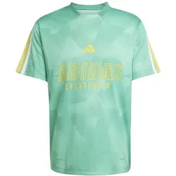 ADIDAS Herren Shirt House of Tiro Nations Pack, Größe S in Blau Blau