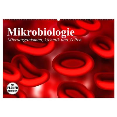 Mikrobiologie. Mikroorganismen, Genetik und Zellen (Wandkalender 2027 DIN A2 quer), CALVENDO Monatskalender