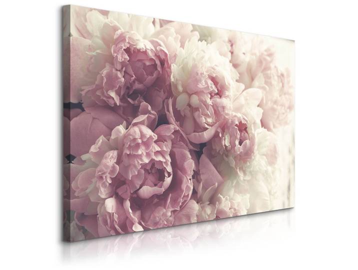 LEINWANDBILD Pfingstrosen Blumen 3D Pflanzen Natur 90x60