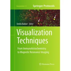 Visualization Techniques, Fachbücher