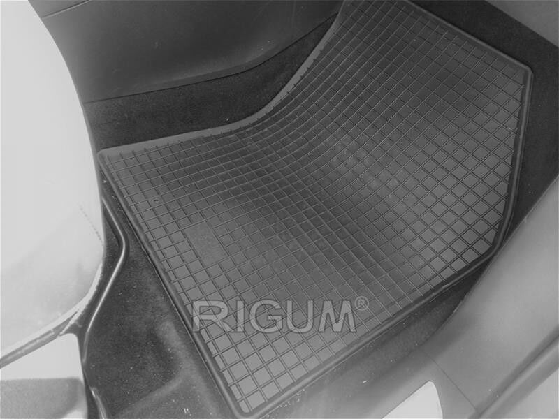 RIGUM 905243 Floor mats
