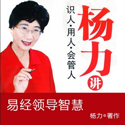 杨力讲易经领导智慧 - 杨力, Audio, 4069828020641