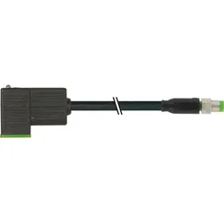 Murrelektronik M8 Stecker 7000-88421-6130200