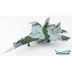 Hobby Master Russian Air Force Sukhoi SU-27 Flanker HA6013