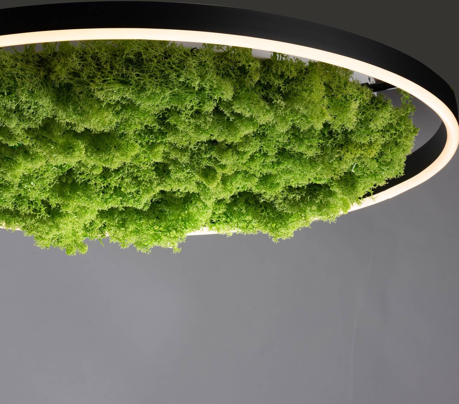 JUST LIGHT. GmbH LED Deckenlampe Green Ritus, dimmbar, grün, für Wohn- / Esszimmer, Modern, LED Deckenleuchte
