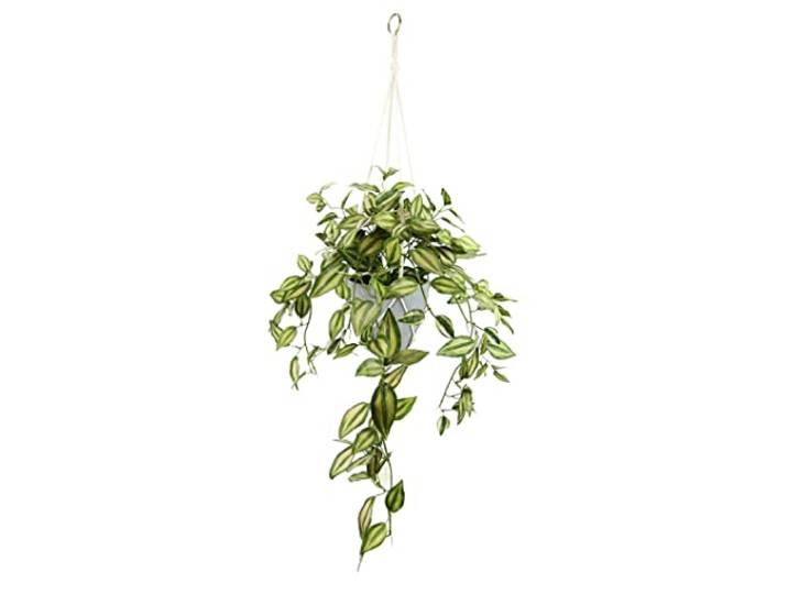 Flair Flower Tradescantiahängeampel mit Topf und Hängeampel Kunstpflanze Tradeskantie hängend Rankend Girlande Pflanzenampel Grünpflanze Zimmerpflanze Kletterpflanze Efeuranke Efeu, ca. 83x45x30 cm