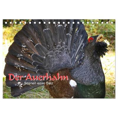 Der Auerhahn - Szenen einer Balz (Tischkalender 2027 DIN A5 quer), CALVENDO Monatskalender