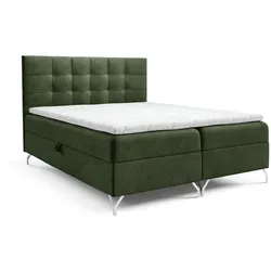 BOXBETT Candela