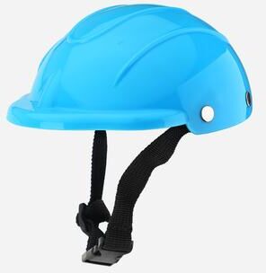 Friendly Fresh Finds Pet Safety Motorcycle Helmet For Cats & Dogs Durable Headgear For Pet Travel & Protection blue l