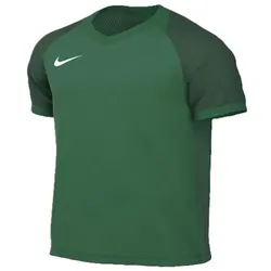 Nike Trophy VI Dri-Fit Trikot Herren - grün - XL