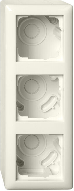 Gira Boîtier en saillie 3f + cadre Standard 55 blanc 106301 (106301)