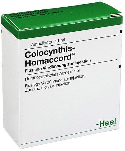 Heel Colocynthis Homaccord Ampullen 100 St