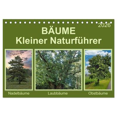 Bäume Kleiner Naturführer (Tischkalender 2026 DIN A5 quer), CALVENDO Monatskalender