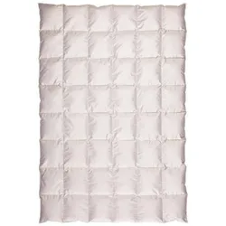Centa Star Daunendecke ARCTIC OCEAN - B/L ca. 155.00x220.00
