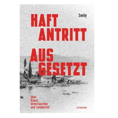 Haftantritt ausgesetzt, Taschenbuch von Smily, Immergrün e.V., 978-3-910281-12-7
