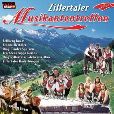 Zillertaler Musikantentreffen - Various, CD, 9003549773252