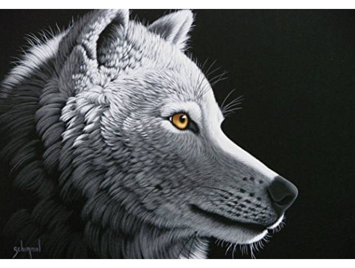 Grafika Schim Schimmel - Wolf Light - 1500 Teile