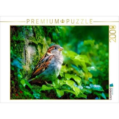 CALVENDO Puzzle Die Poesie des Alltags | 2000 Teile Lege-Größe 90x67cm Foto-Puzzle für glückliche Stunden