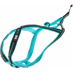 i-DOG Canicross X-Baxk (Hund, Hundesport), Halsband + Leine