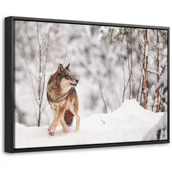 LEINWAND Bilder mit Rahmen - Wolf - Winter - Schnee - Natur - Tiere - 30x20
