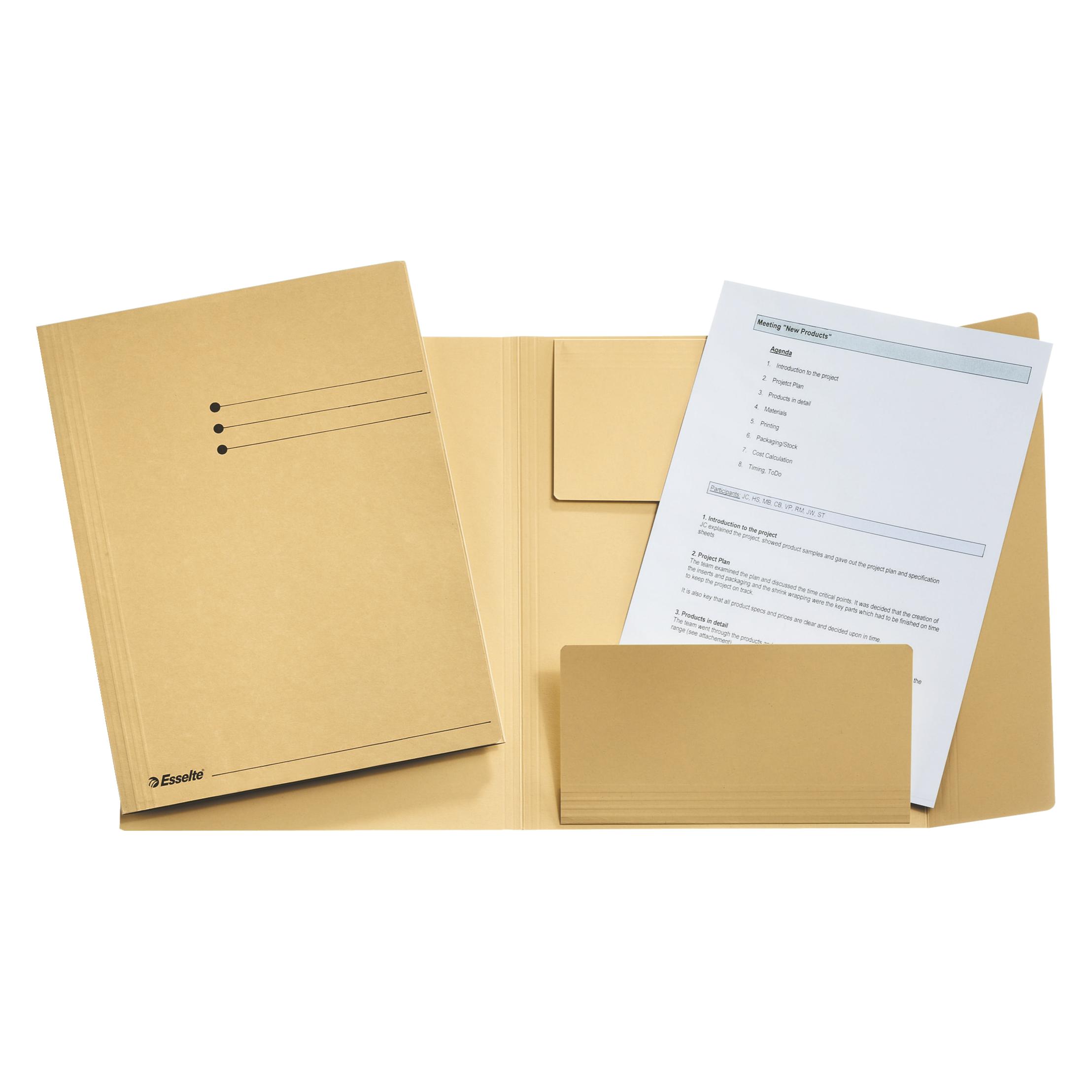 Leitz Esselte Jurismappe, DIN A4, Manilakarton, 275 g/qm, chamois mit 3 Klappen am Unterdeckel, Liniendruc (A4, 50x) (1033304)