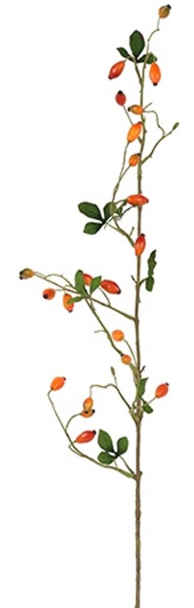 Countryfield Kunstbes Rosa canina L oranje