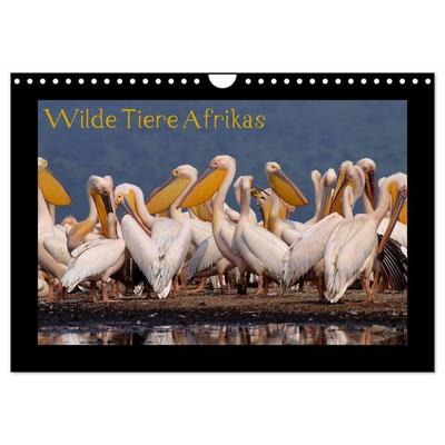 Wilde Tiere Afrikas (Wandkalender 2026 DIN A4 quer), CALVENDO Monatskalender
