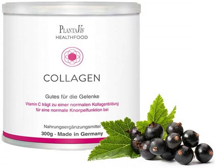 PlantaVis Collagen Gutes für die Gelenke Pulver