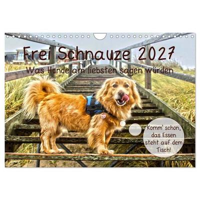 Frei Schnauze 2027. Was Hunde am liebsten sagen würden (Wandkalender 2027 DIN A4 quer), CALVENDO Monatskalender