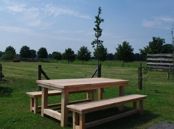 Gartenmöbel-Set Picknick Sylt aus massivem Douglasholz, Tischplatte 4-4,5 cm, Beine 10 cm