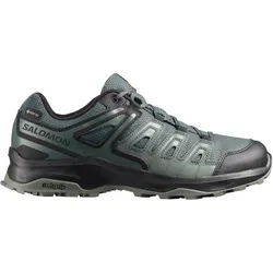 Salomon Extegra Gore-Tex Wanderschuhe Herren urban chic/black/plantation 48