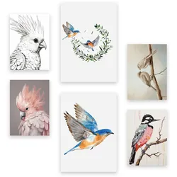 POSTER Set Mit 6 Vogelsammlungen A3 & A4 Rahmenlos