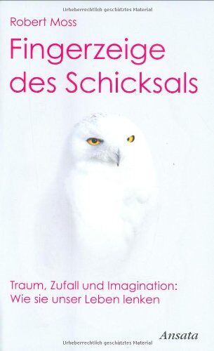Robert Moss - Fingerzeige des Schicksals: Traum, Zufall und Imagination: Wie sie unser Leben lenken - Preis vom 17.10.2026 19:25:27 h